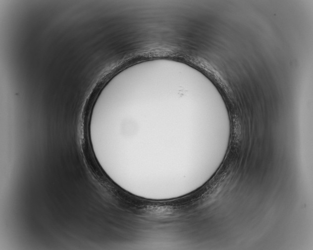 X0000096210582200802151504