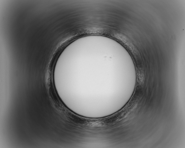X0000096210583200802151504