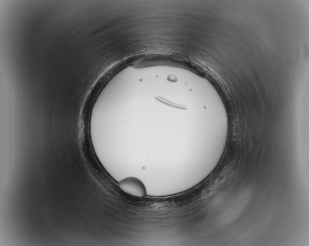 X0000096210584200802151504