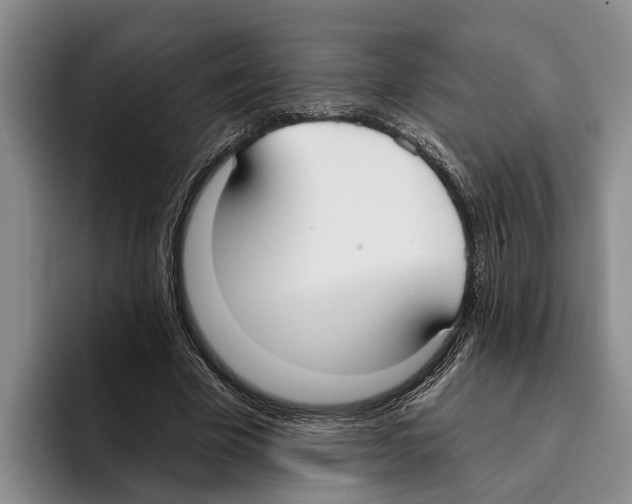 X0000096210585200802151504