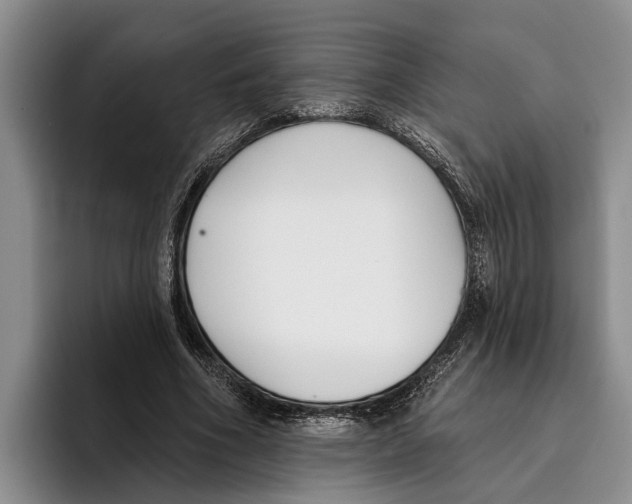 X0000096210586200802151504
