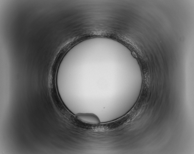 X0000096210587200802151504