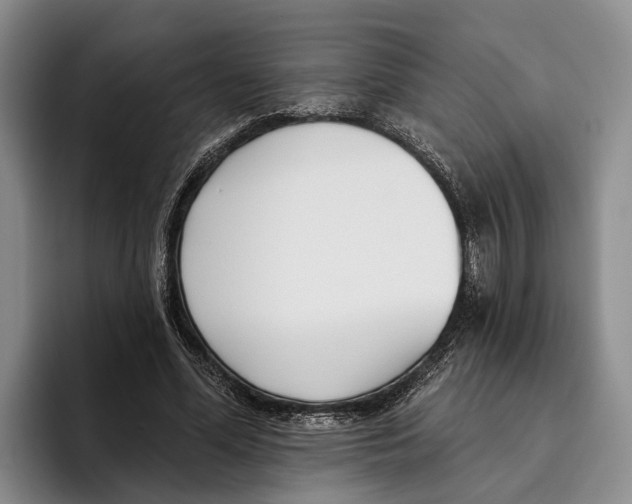 X0000096210588200802151504