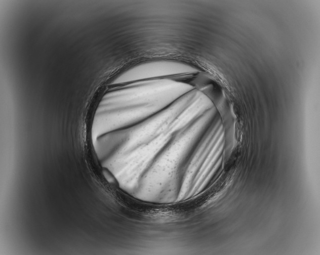 X0000096210589200802151504