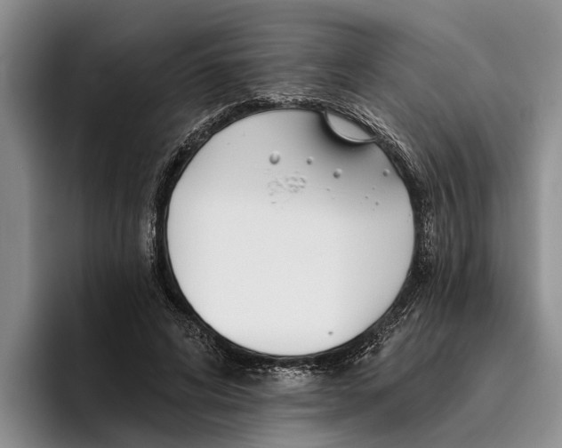 X0000096210592200802151504