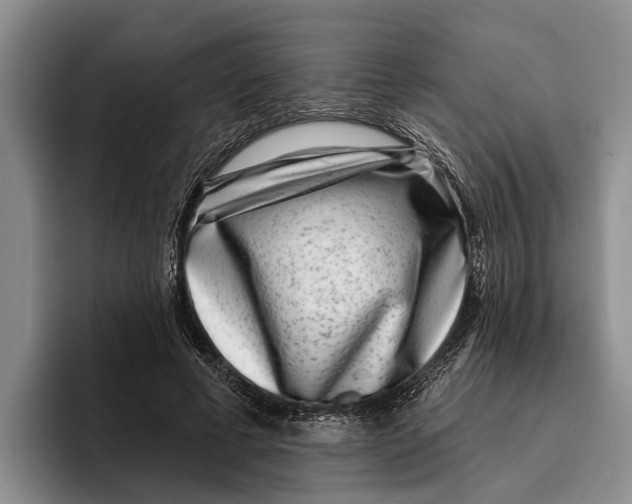 X0000096210593200802151503