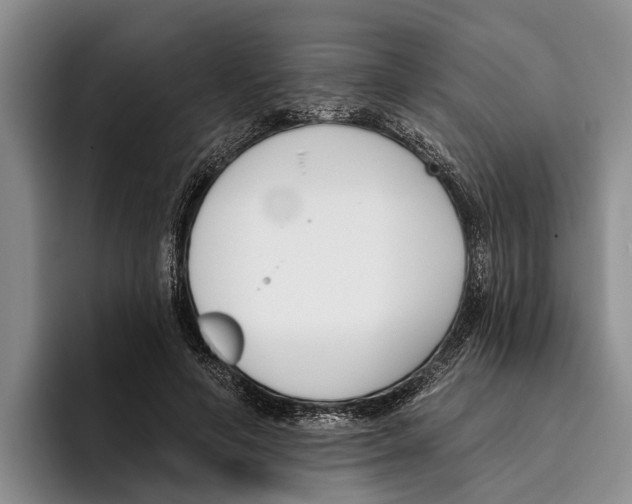 X0000096210594200802151503