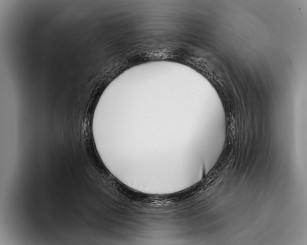 X0000096210601200802151503