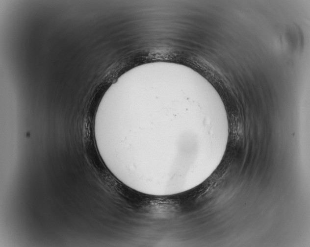 X0000096210603200802151503