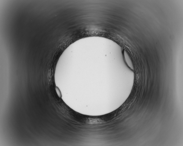 X0000096210605200802151503