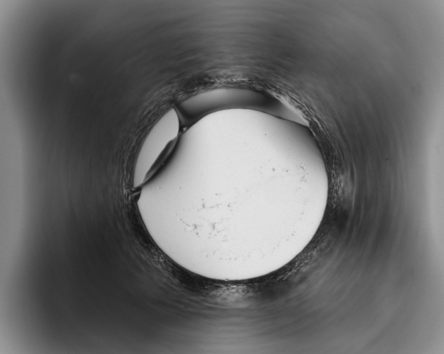 X0000096210609200802151503