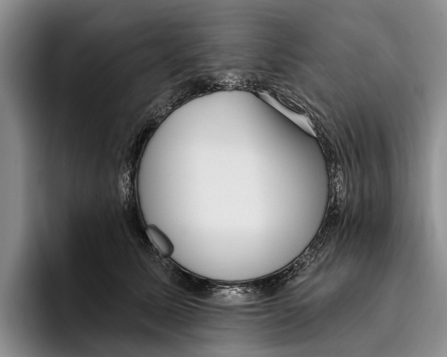 X0000096210611200802151503
