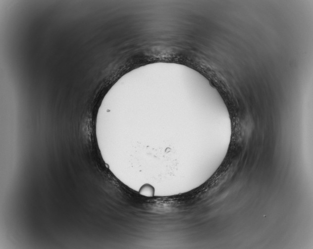 X0000096210612200802151503