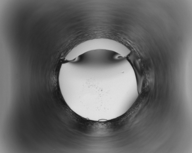 X0000096210613200802151503