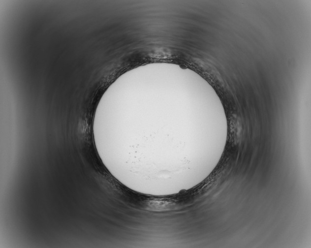 X0000096210614200802151503