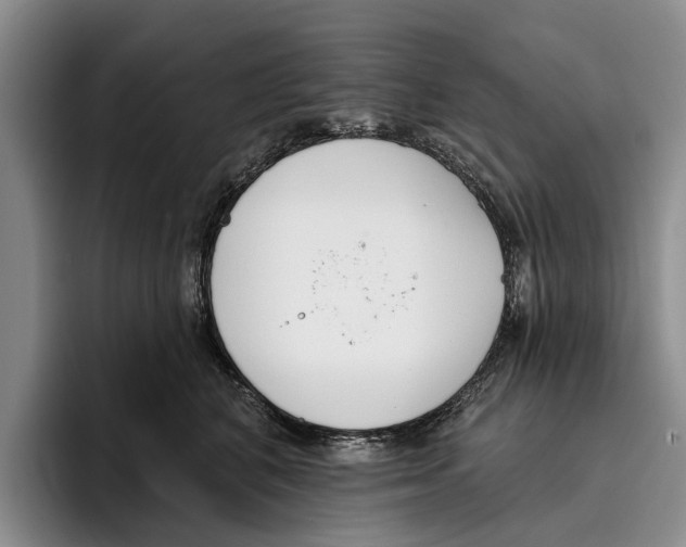 X0000096210616200802151503