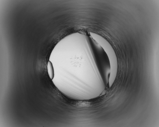 X0000096210617200802151503