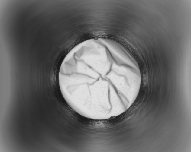 X0000096210618200802151503
