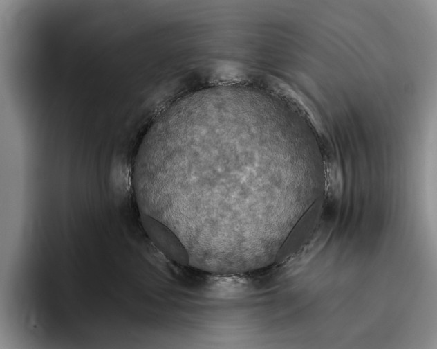 X0000096210621200802151503