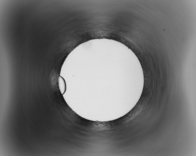X0000096210624200802151503