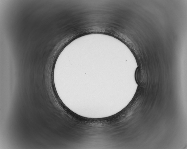 X0000096210625200802151502