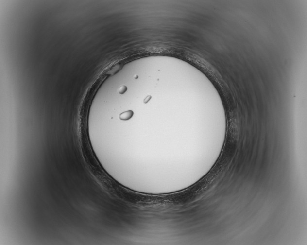 X0000096210626200802151502