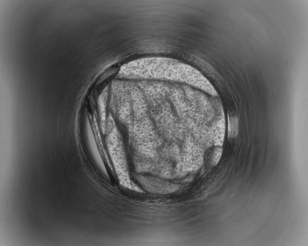 X0000096210627200802151502