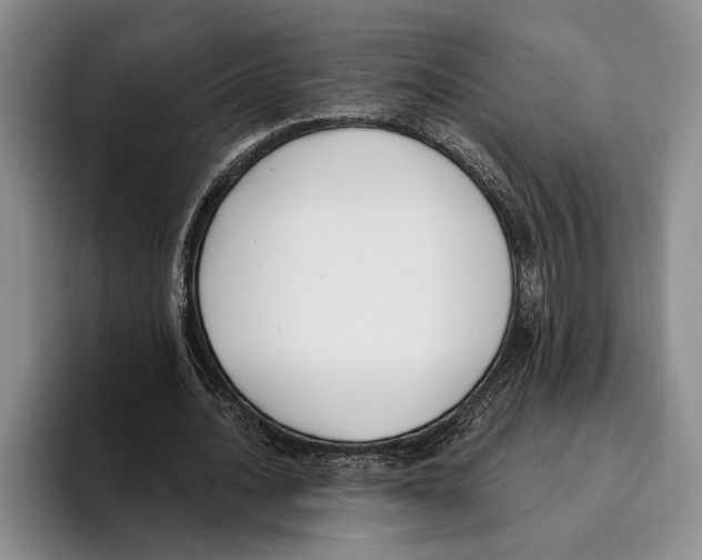 X0000096210628200802151502