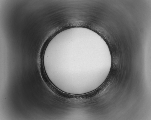 X0000096210630200802151503