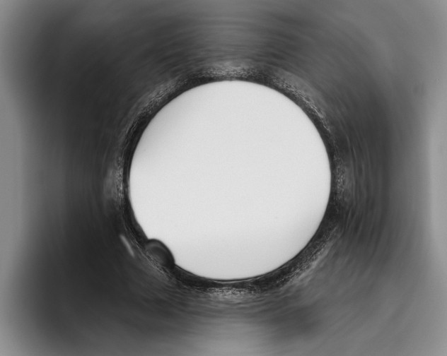 X0000096210633200802151503