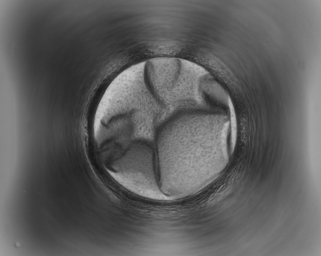 X0000096210634200802151503