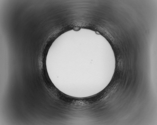 X0000096210635200802151503