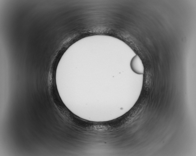 X0000096210636200802151503