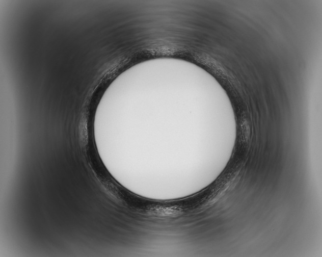 X0000096210638200802151503