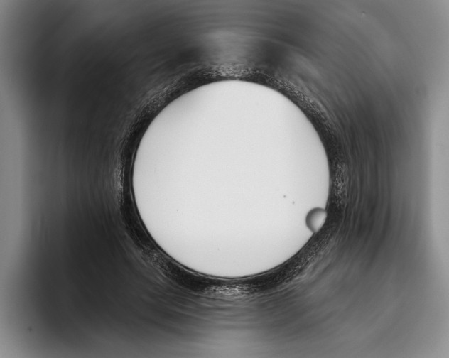 X0000096210639200802151503