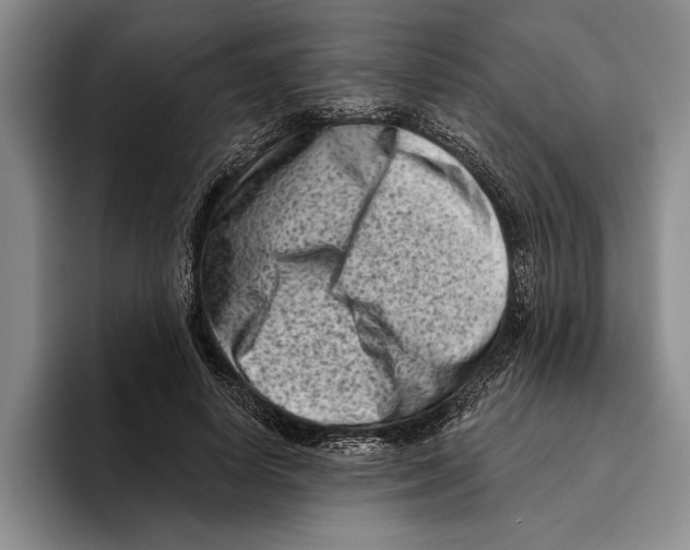 X0000096210642200802151503