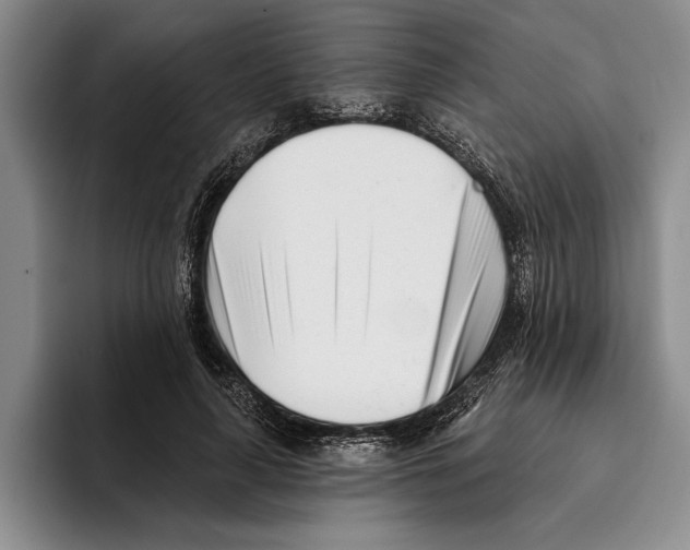 X0000096210643200802151503