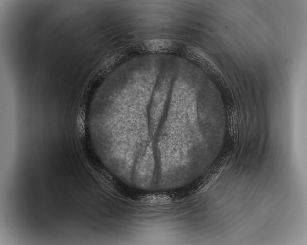 X0000096210644200802151503