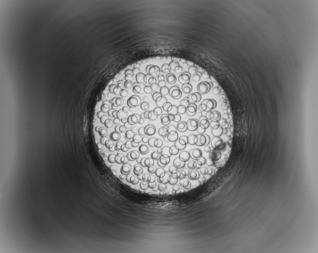 X0000096210646200802151503