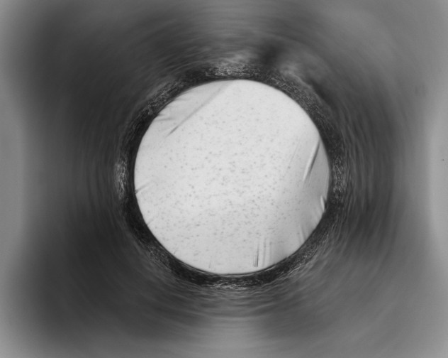 X0000096210648200802151503
