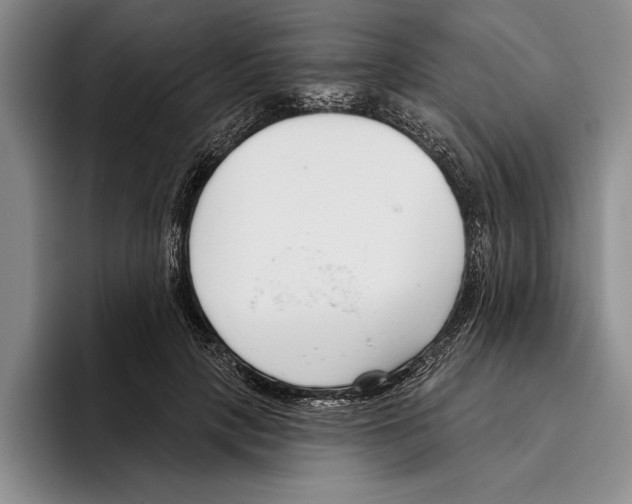 X0000096210649200802151503