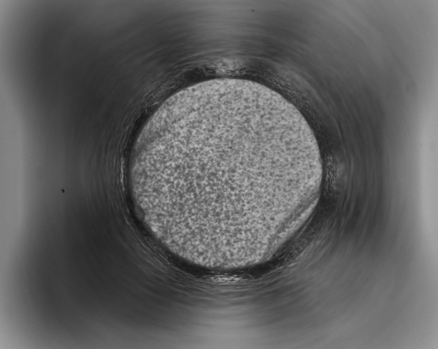 X0000096210650200802151503