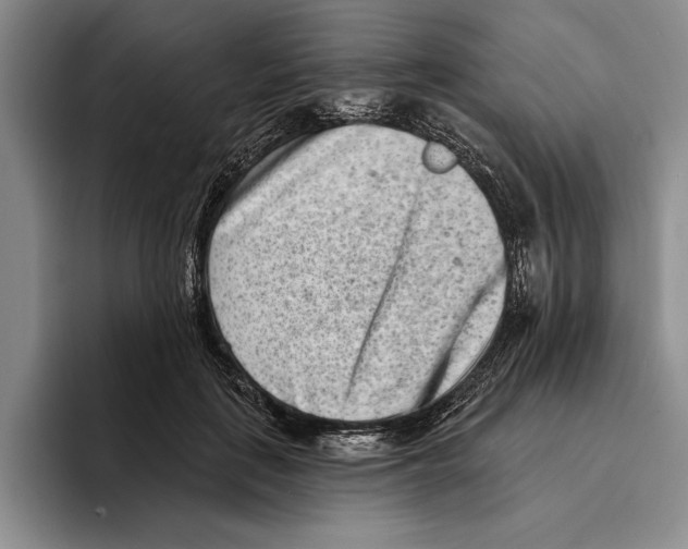 X0000096210651200802151503