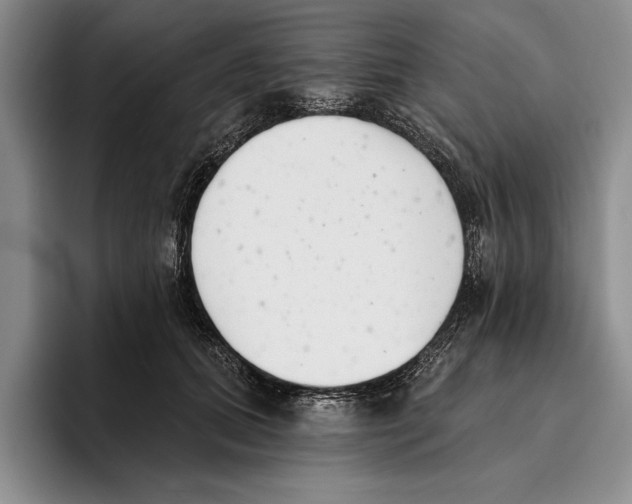 X0000096210655200802151503