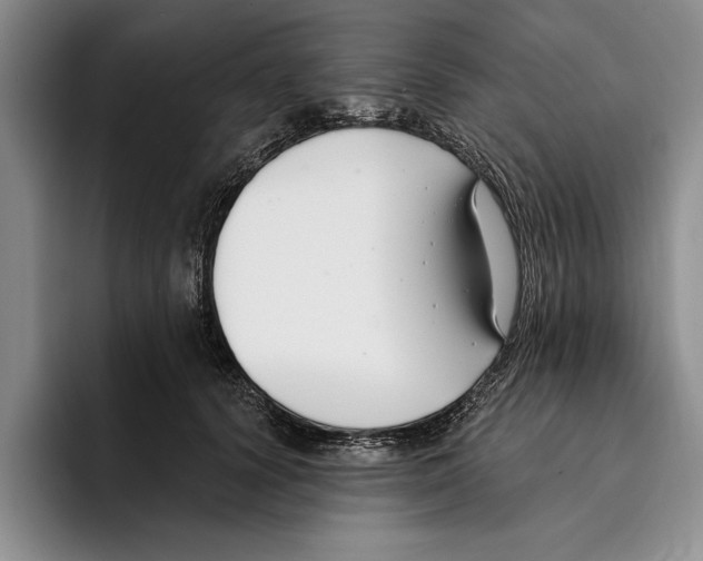 X0000096210656200802151503