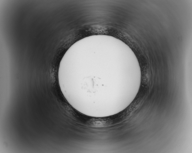 X0000096210658200802151503