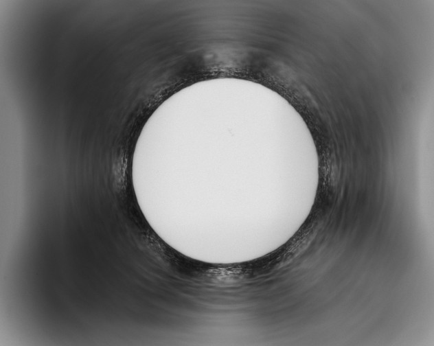 X0000096210660200802151503
