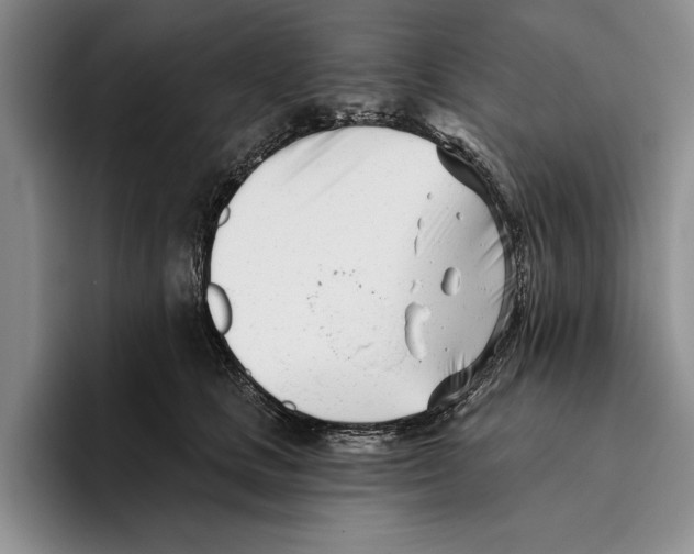 X0000096210661200802151503