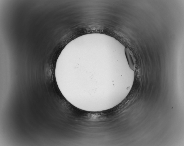 X0000096210662200802151503
