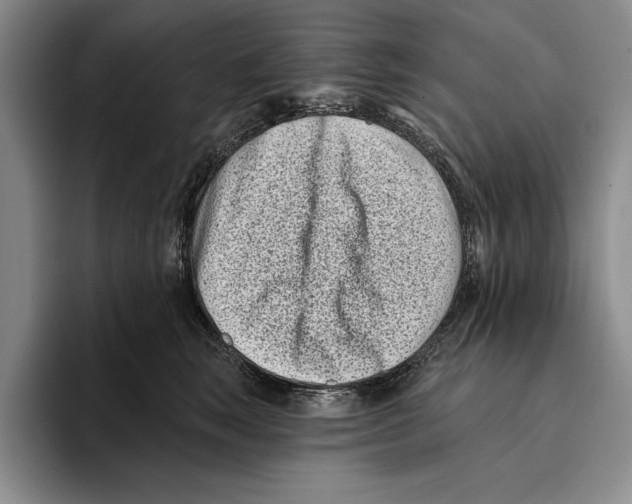 X0000096210663200802151503